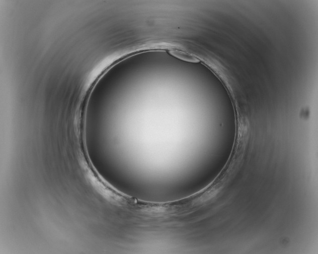 X0000112461054200908171158