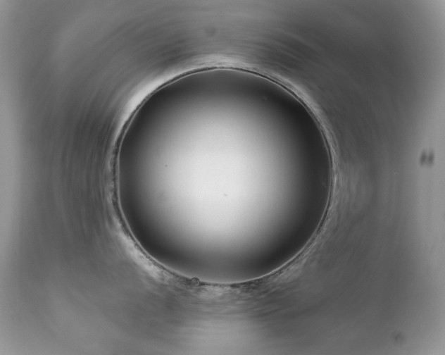 X0000112461056200908171158