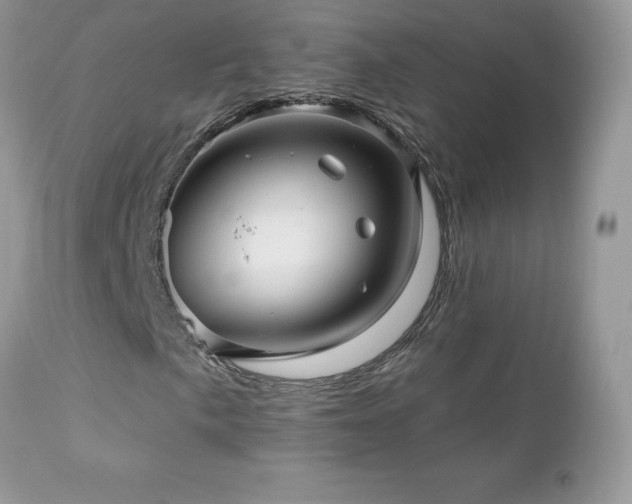 X0000112461057200908171157