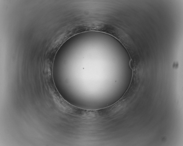 X0000112461058200908171157