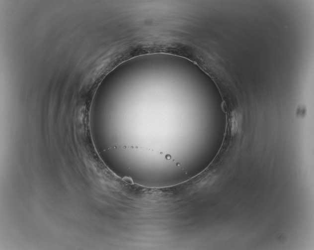 X0000112461059200908171157