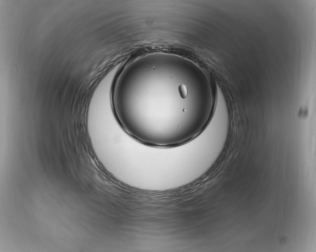 X0000112461060200908171157