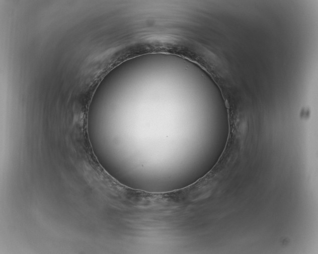 X0000112461061200908171157