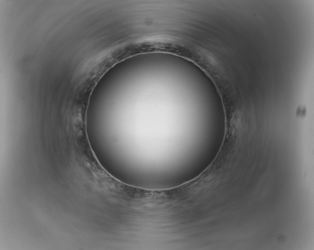 X0000112461062200908171157