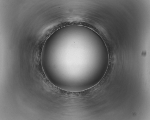 X0000112461063200908171157
