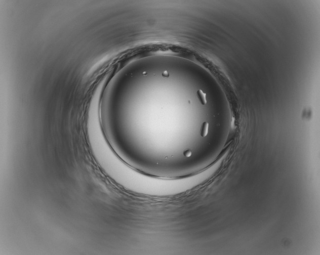 X0000112461064200908171157