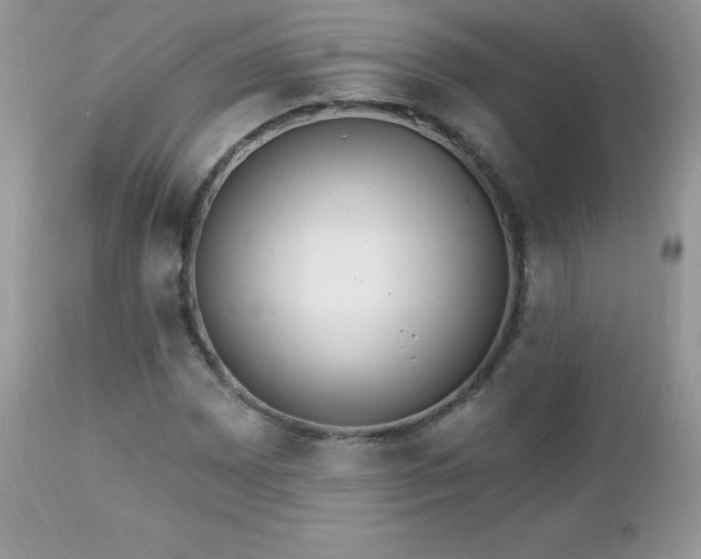 X0000112461065200908171157