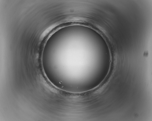 X0000112461066200908171157