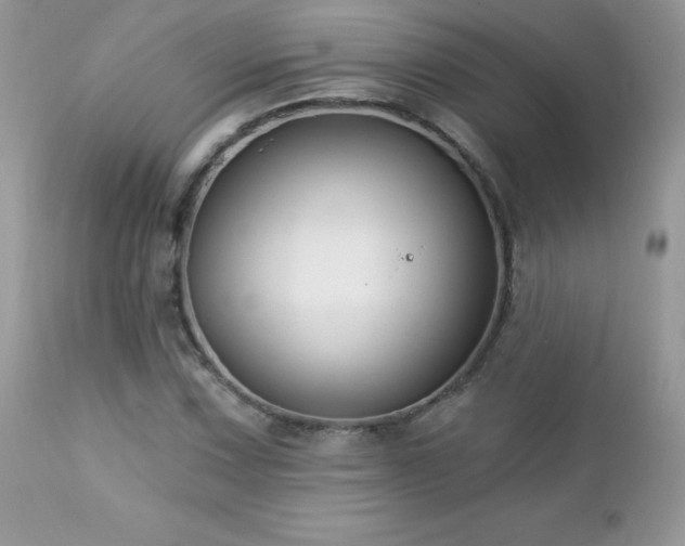 X0000112461067200908171157