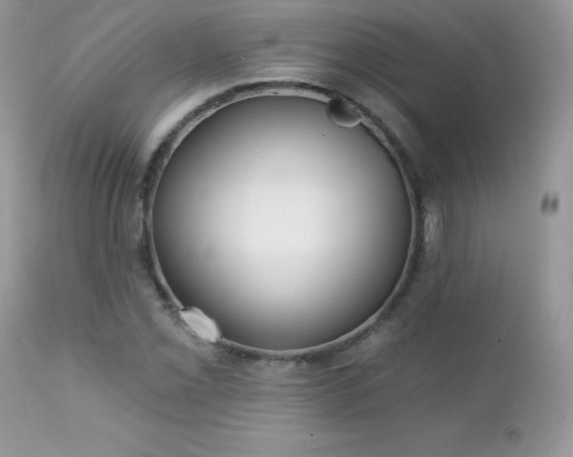 X0000112461069200908171157