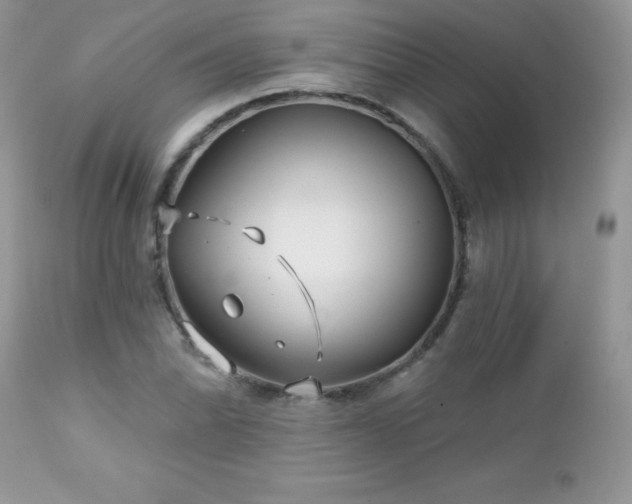 X0000112461070200908171157