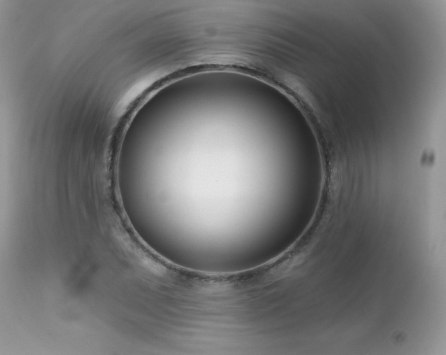 X0000112461071200908171157