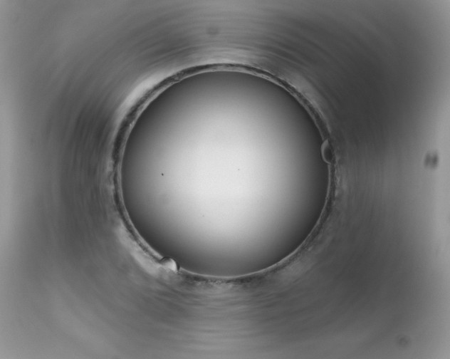 X0000112461072200908171157