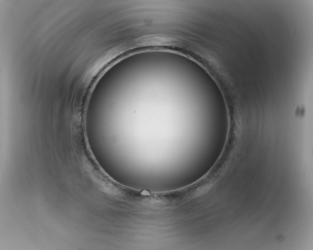 X0000112461073200908171157