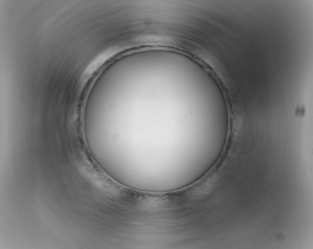 X0000112461074200908171157
