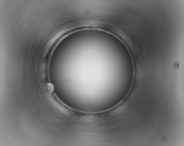 X0000112461075200908171157