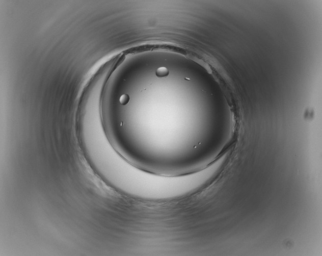 X0000112461076200908171157