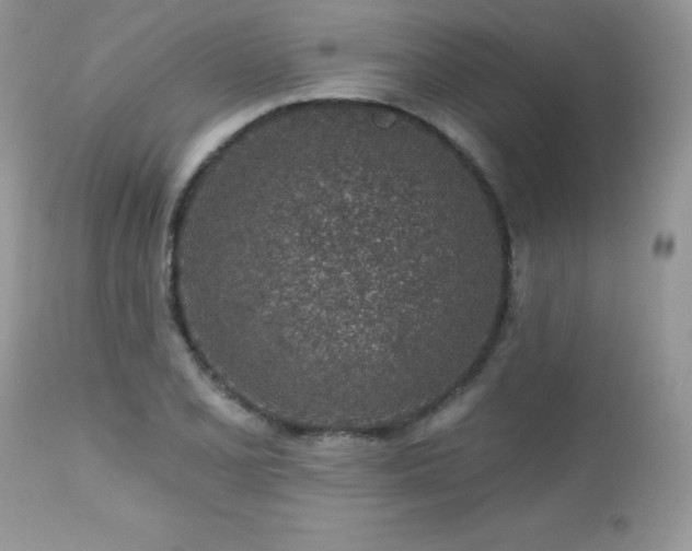 X0000112461077200908171157