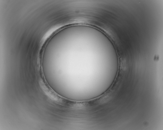 X0000112461078200908171157