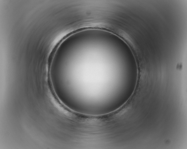 X0000112461079200908171157