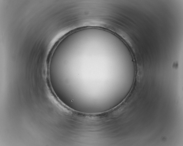 X0000112461080200908171157