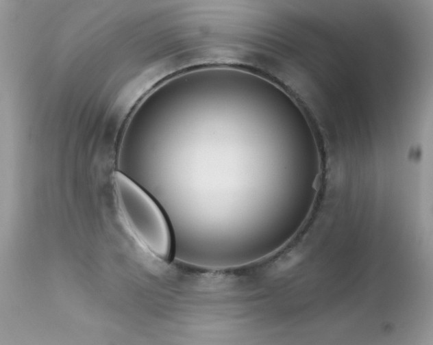 X0000112461081200908171157