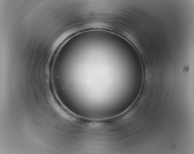X0000112461082200908171157