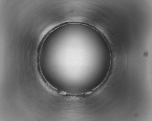 X0000112461085200908171157