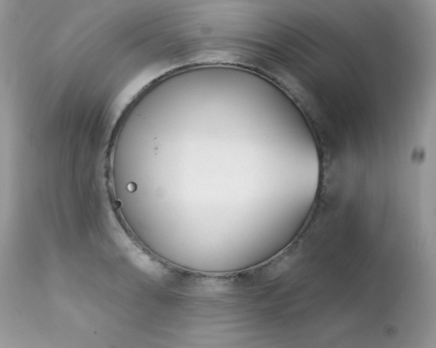 X0000112461086200908171157