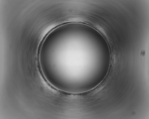 X0000112461087200908171157