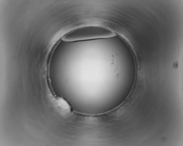 X0000112461088200908171157