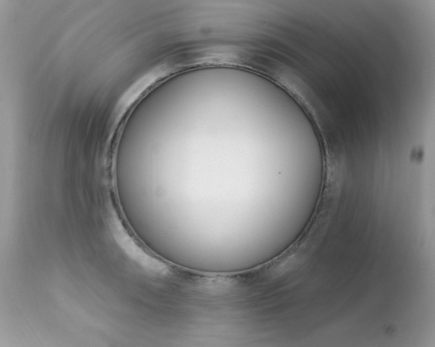 X0000112461090200908171157