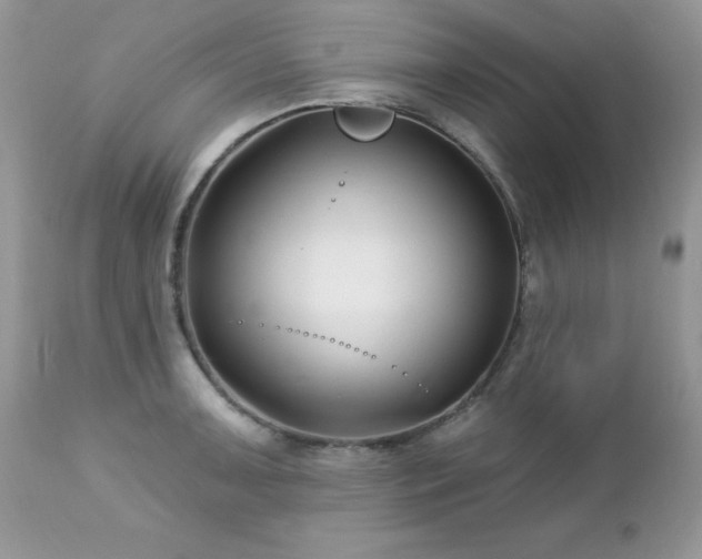 X0000112461091200908171157