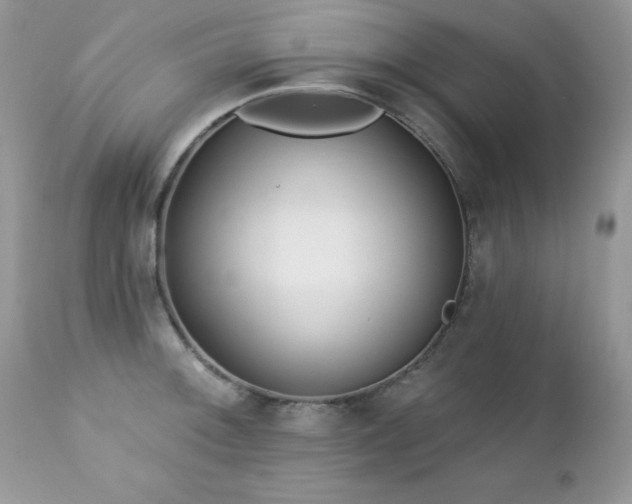 X0000112461092200908171157