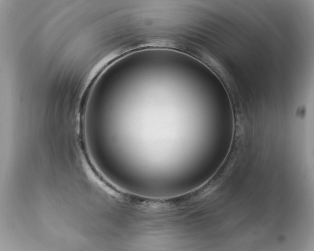 X0000112461095200908171157