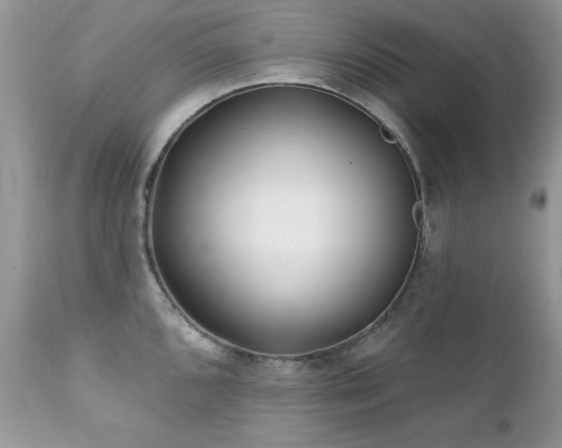X0000112461096200908171157