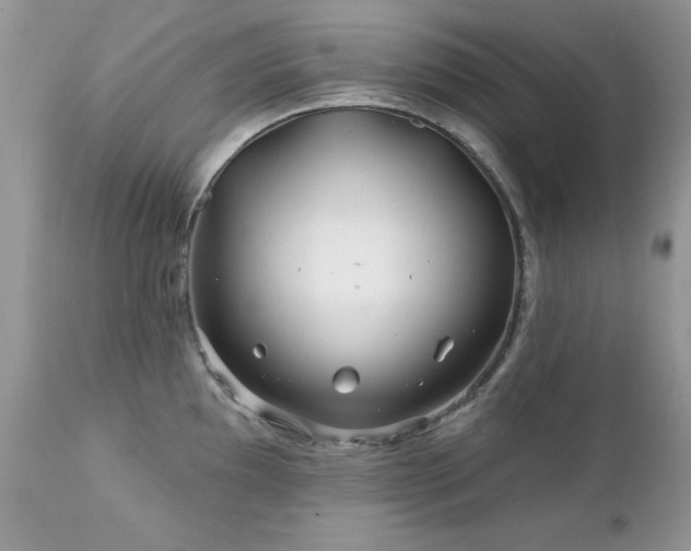 X0000112461097200908171157