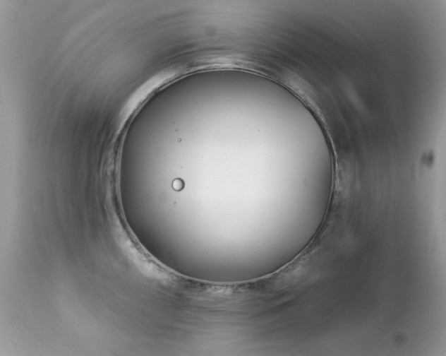 X0000112461098200908171157