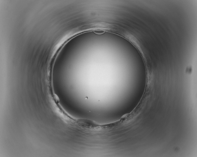 X0000112461099200908171157