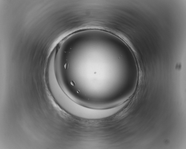 X0000112461101200908171157