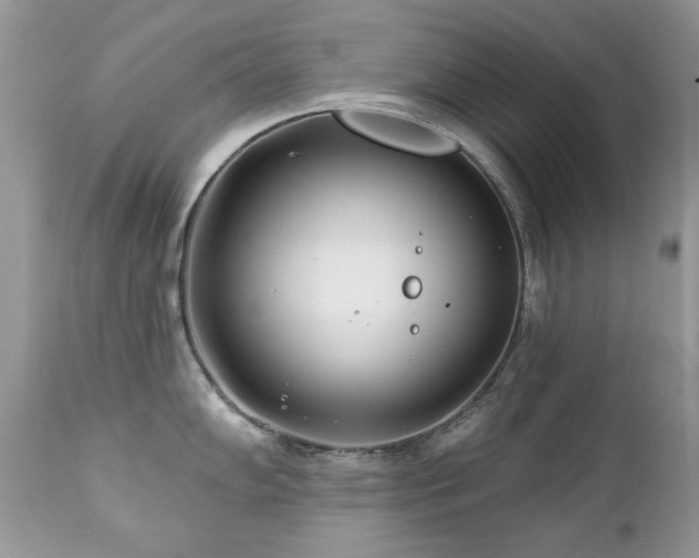 X0000112461102200908171157