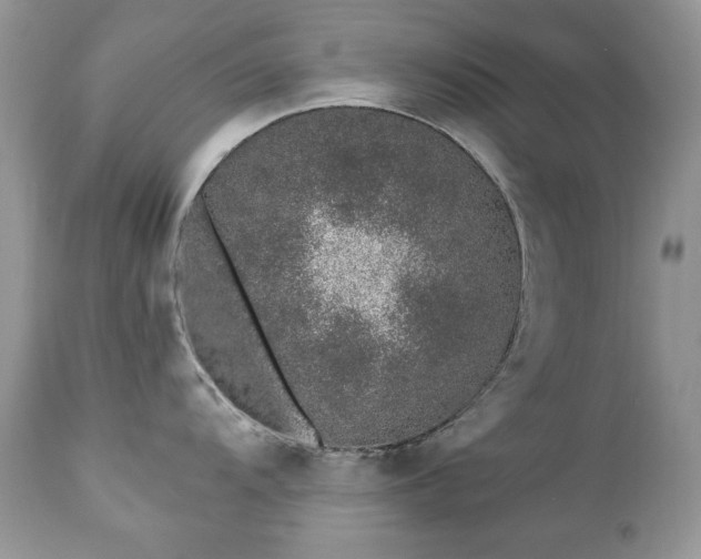 X0000112461104200908171157
