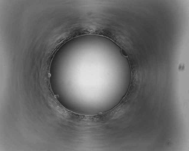 X0000112461105200908171156