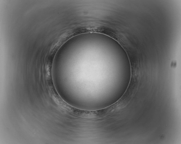X0000112461106200908171156