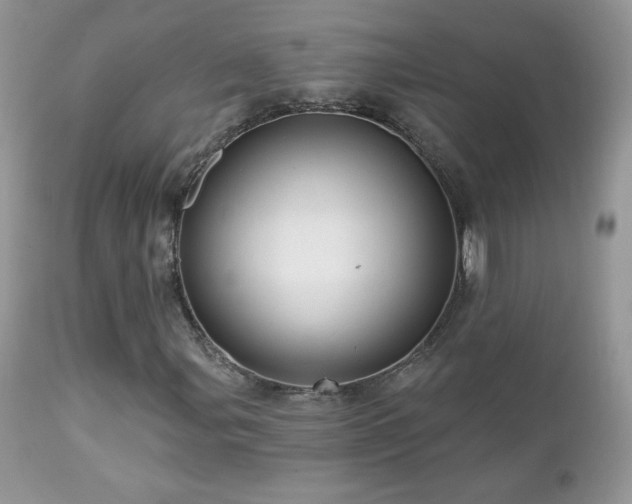 X0000112461107200908171156