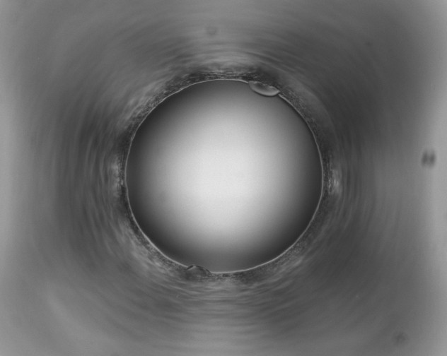 X0000112461108200908171156