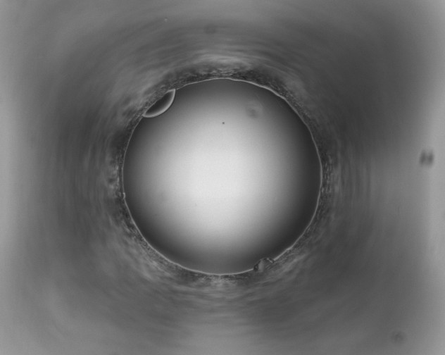 X0000112461109200908171156