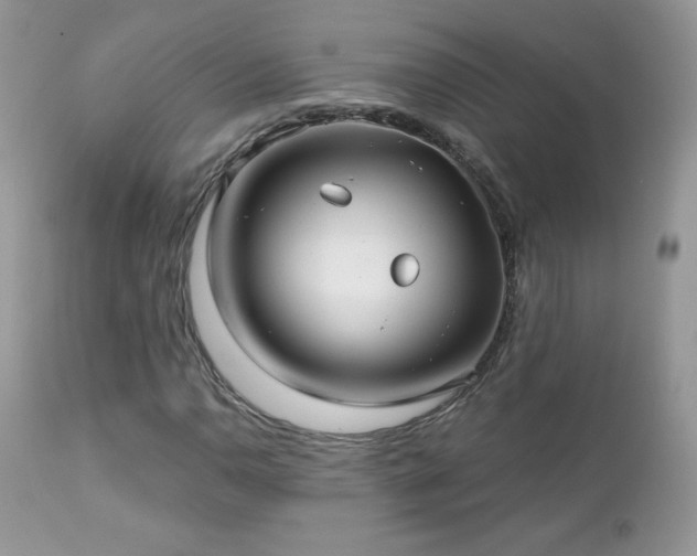 X0000112461110200908171156