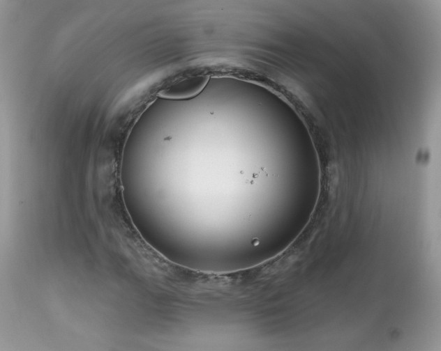 X0000112461111200908171156