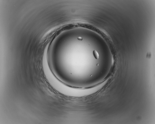X0000112461112200908171156